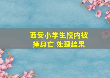 西安小学生校内被撞身亡 处理结果